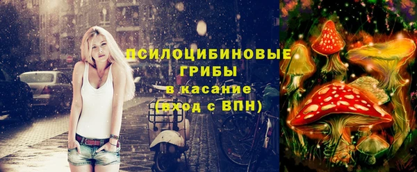 PSILOCYBIN Михайловка