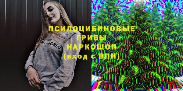 соль ск Михайлов