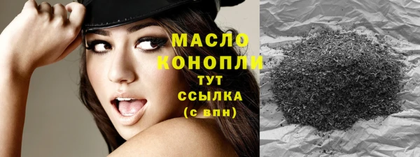 соль ск Михайлов
