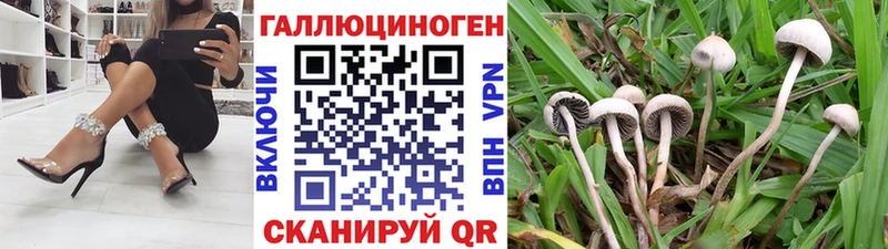 Псилоцибиновые грибы прущие грибы  наркошоп  Тетюши 